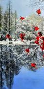 Dreaming Garden 1;