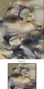 Xuan Huang;